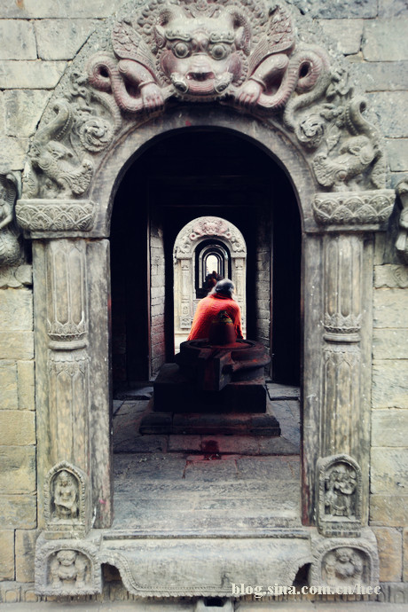 �Ჴ�����˿ֲ��Ļ��ᡪ��������